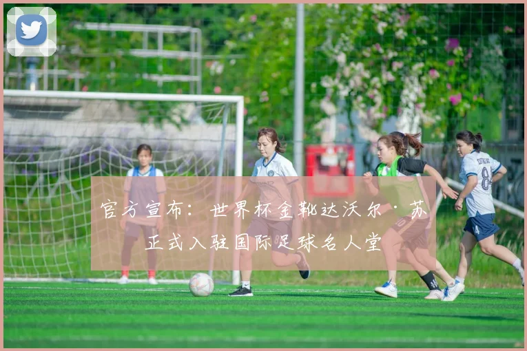 官方宣布:世界杯金靴达沃尔·苏克正式入驻国际足球名人堂